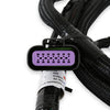 GM Gen V Gdi Late, Sub Harness