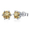 champagne / 1 ct each