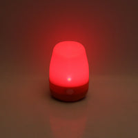 Ozark Trail LED Camping Lantern, 100 Lumens, Battery Operated, Model 4878 EasyOptionXY LLC