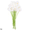 White Assorted / 10pcs