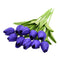 Purple / 10pcs