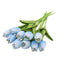 Light blue / 10pcs