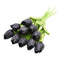 Black / 10pcs