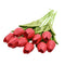 Red / 10pcs