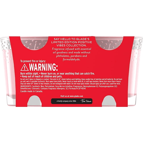 Glade Scented Candle Jar, Strawberry Sundae Funday Scent, Infused with Essential Oils, Spring Limited Edition Fragrance, Positive Vibes Collection, 2 Candles, 3.4 Oz, 96 g each EasyOptionXY LLC