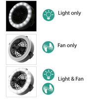 Wakeman 30 Lumens Camping Lanterns EasyOptionXY LLC