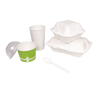 Karat PS Plastic Medium-Heavy Weight Tea Spoons Bulk Box - White - 1,000 ct EasyOptionXY LLC