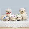 12-Piece: Whelping ID Collars Color Set