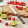 4-inch Paring Knife - Small Kitchen Knife Full Tang for Chopping, Slicing, Paring and Cutting Fruit Vegetable EasyOptionXY LLC