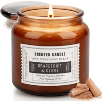 Grapefruit & Clove Scented Candles for Home, Soy Wax Amber Glass Jar Decorative Aromatherapy Candle, 15.5oz EasyOptionXY LLC