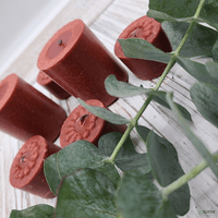 Elyon Tableware? 36 Coffee Scented Brown Colored Wax Deep Tealight Candles in Plastic Holder EasyOptionXY LLC