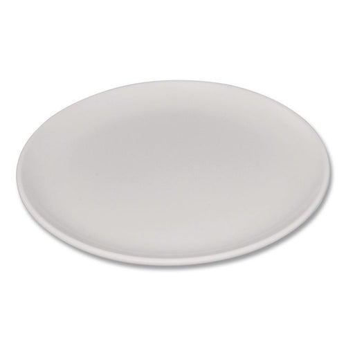 Carlisle Epicure Melamine Dinner Plate