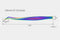 Rainbow Color