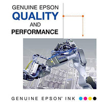 EPSON 702 DURABrite Ultra Ink High Capacity Black & Standard Color Cartridge Combo Pack (T702XL-BCS) Works with WorkForce Pro WF-3720, WF-3730, WF-3733 EasyOptionXY LLC