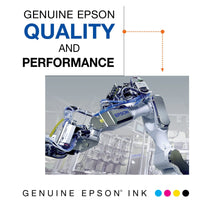 EPSON 200 DURABrite Ultra Ink Standard Capacity Black & Color Cartridge Combo Pack (T200120-BCS) Works with WorkForce WF-2520, WF-2530, WF-2540, Expression XP-200, XP-300, XP-310, XP-400, XP-410 EasyOptionXY LLC