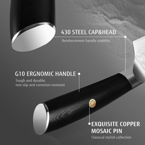 Hecef Chef Knife, 8 inch Japanese Damascus Steel Kitchen Knife, Professional Extra Sharp VG10 Knife EasyOptionXY LLC