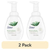 (2 pack) D ove Nourishing Women's Foaming Hand Soap All Skin Aloe & Eucalyptus, 10.1 oz EasyOptionXY LLC