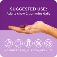 Equate Sleep Gummy Supplement with Melatonin and L-Theanine; 50 Count EasyOptionXY LLC