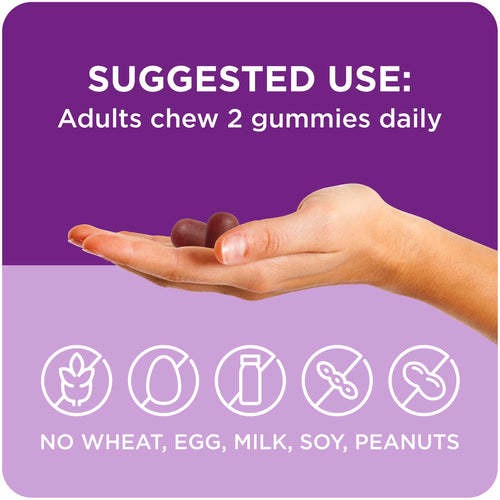 Equate Sleep Gummy Supplement with Melatonin and L-Theanine; 50 Count EasyOptionXY LLC