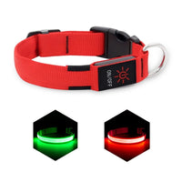 LED Dog Collar, USB Rechargeable Light Up Dog Collar, Adjustable Safety Glowing Collar for Dogs (Red, Medium) EasyOptionXY LLC
