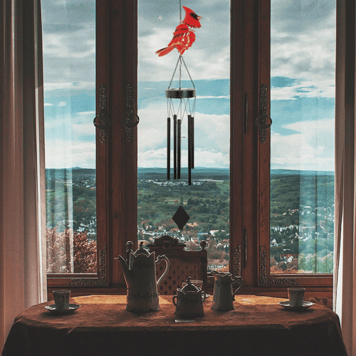 Outdoor Cardinal Wind Chime, Solar Wind Chimes Red Bird Decor with Metal Tubes & Crackle Glass, Garden Decor Memorial Gift for Women Grandma Wife Lover EasyOptionXY LLC