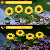2 Pack Sunflower Solar Lights, Outdoor Solar Garden Lights, Waterproof Decorative LED Landscape Lights for Patio Lawn Yard EasyOptionXY LLC