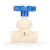 3/4" CPVC Stop and Waste Valve