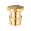 30 Pcs PEX A Expansion 1/2" Plug Wholesale