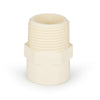 1" CTS CPVC Male Adapter (MIPT x Socket)