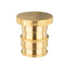 PEX A Expansion 1/2" Plug (Lead Free) Plumbingsell