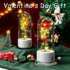2 In 1 Rose Flowers in Creative LED Glass Lamp with Bluetooth for Home Decor