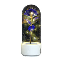 2 In 1 Rose Flowers in Creative LED Glass Lamp with Bluetooth for Home Decor