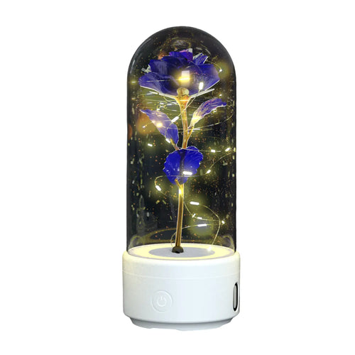 2 In 1 Rose Flowers in Creative LED Glass Lamp with Bluetooth for Home Decor