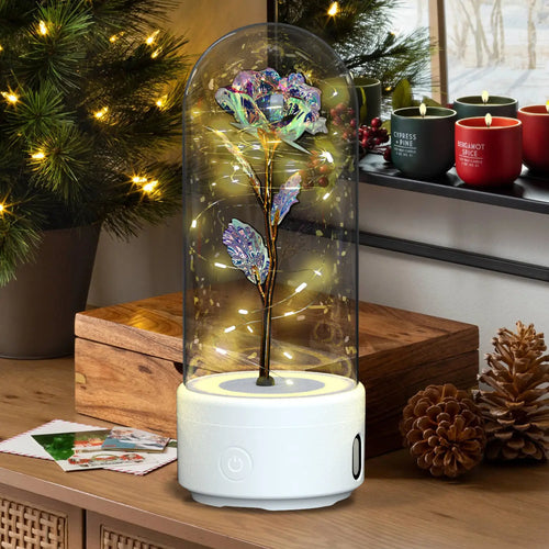2 In 1 Rose Flowers in Creative LED Glass Lamp with Bluetooth for Home Decor
