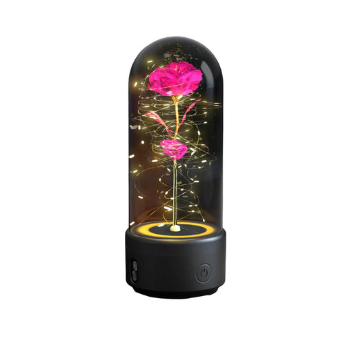 2 In 1 Rose Flowers in Creative LED Glass Lamp with Bluetooth for Home Decor