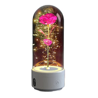 2 In 1 Rose Flowers in Creative LED Glass Lamp with Bluetooth for Home Decor