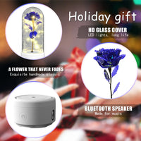 2 In 1 Rose Flowers in Creative LED Glass Lamp with Bluetooth for Home Decor