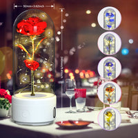 2 In 1 Rose Flowers in Creative LED Glass Lamp with Bluetooth for Home Decor