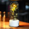 2 In 1 Rose Flowers in Creative LED Glass Lamp with Bluetooth for Home Decor