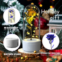 2 In 1 Rose Flowers in Creative LED Glass Lamp with Bluetooth for Home Decor