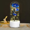 2 In 1 Rose Flowers in Creative LED Glass Lamp with Bluetooth for Home Decor