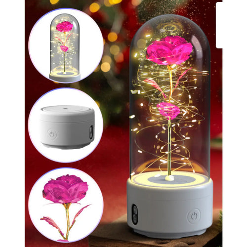 2 In 1 Rose Flowers in Creative LED Glass Lamp with Bluetooth for Home Decor