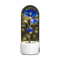 2 In 1 Rose Flowers in Creative LED Glass Lamp with Bluetooth for Home Decor
