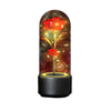 2 In 1 Rose Flowers in Creative LED Glass Lamp with Bluetooth for Home Decor
