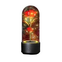 2 In 1 Rose Flowers in Creative LED Glass Lamp with Bluetooth for Home Decor