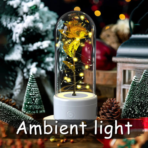 2 In 1 Rose Flowers in Creative LED Glass Lamp with Bluetooth for Home Decor
