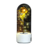 2 In 1 Rose Flowers in Creative LED Glass Lamp with Bluetooth for Home Decor