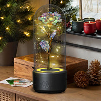 2 In 1 Rose Flowers in Creative LED Glass Lamp with Bluetooth for Home Decor