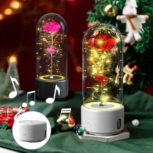 2 In 1 Rose Flowers in Creative LED Glass Lamp with Bluetooth for Home Decor