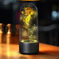 2 In 1 Rose Flowers in Creative LED Glass Lamp with Bluetooth for Home Decor